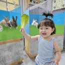 다솜울작은도서관 | 김천 아기랑 가볼만한곳 주말에 아이랑 실내 갈만한곳 동물먹이주기 체험가능 다솜생태관