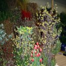 성전2호 이미지