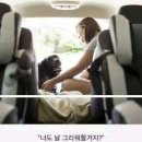 강아지의 하루 이미지