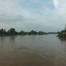 흐르는 강물을 바라 이미지