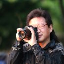 풀잎사랑 이미지
