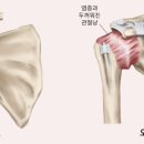 목월한의원 이미지