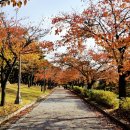 담소동락 이미지