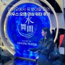 (주)마카오로 | 하우스 오브 댄싱워터 후기 마카오 여행 가격 B석 맨 뒷줄 후기