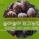 솔아농장 이미지