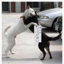 공감 - 양평군 | 공감