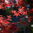 어느멋진날에 1 이미지