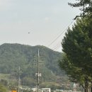 [춘천] 캠핑느낌을 즐길 수 있는 고깃집 ‘숙성21’ sns에서 핫한 맛집 내돈내산후기