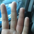 왕벌농장 이미지