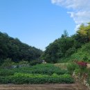 성철농장 이미지