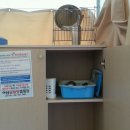 아산글램핑캠핑장 이미지