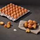 지경영농조합법인