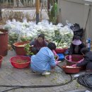 계룡면사무소 이미지