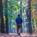 산림기능사 국가기술자격증 이미지