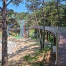 구례소나무정원 이미지