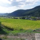 옥천매표소 이미지