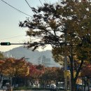 만덕도서관 화장실 이미지