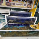 UR(목포시)-[북항로]-상-13 | 목포에서 회, 무조건 유성횟집? 솔직리뷰