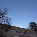 캐슬 테라스(Castle Terrace) | 연말 연초 모임으로 강추⭐️메이필드호텔 &lt;캐슬테라스&gt; 랍스타랑 전복 체고...