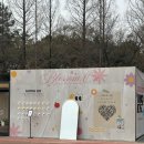 🌸 창원 가로수길 스펀지파크, 썸온 팝업스토어 1차 후기! 🌸