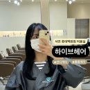 서면 롯데백화점 미용실 :: 하이브헤어 서면플레이스 엔디렉터 볼륨매직 대만족 후기