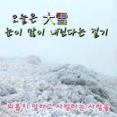 오늘이 대설(大雪)이다.백설이 세상이 오염으로 범벅이... 이미지