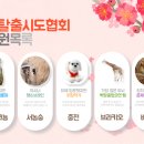 미스터피자화원점 | 용봉동(전대후문) 셜록홈즈 파노라마 탈출후기