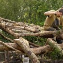 자연을담은집 이미지