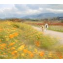 댕댕이의 하루 이미지