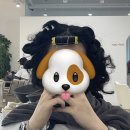 춘천미용실 이미지