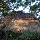 비슬목장 이미지