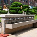 전주팔복초등학교 이미지