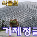 거제도 핫플, 거제 식물원 정글돔 안 네 가지 재밌는 식물을 찾아보세요!! GEOJE BOTANIC GARDEN 이미지