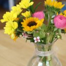 용전초등학교 병설유치원 이미지