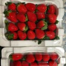 흥진상회 이미지