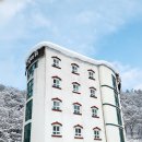 거북모텔 | 민둥산숙소 찾다 발견한 정선호텔, 그림바위호텔 솔직 후기