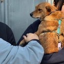 (주)위드어스인 이미지