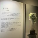 다정교 BRT정류장3 | [대만 크리스마스 여행] 고궁박물원 예약, 가는방법 / 스린 야시장 후기 / 스린 맛집까지!