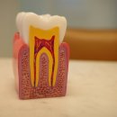 203-운정3-203 이미지