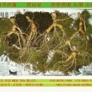 지리민박 이미지