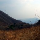 야생화로 뒤덮인 팔당 예봉산. 이미지