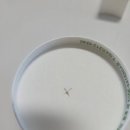 비타민 인형뽑기 이미지