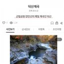 용주목장 네이버블로그