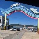 소래장터 | (인천) 제2회 삼목항 직거래 꽃게 장터 후기 🌊🦀