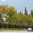 창원대로-1 이미지