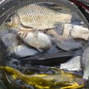 월척낚시터 이미지