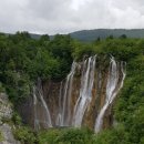 플레트 Daum카페