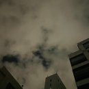 헤라클린스 네이버블로그