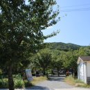 보보캠핑 이미지