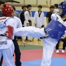 두미르태권도장 이미지